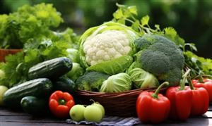 石油与化工指数全面下跌 2024年石油化工产业发展趋势(图7)