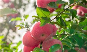 2022年石油钻采设备行业展望及市场发展趋势分析(图2)