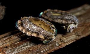 2024年石油化工产业发展前景预测及未来发展 成品油价将迎来2024年第二次下调(图2)