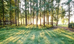 2024石油化工产业链上下游发展现状分析(图7)