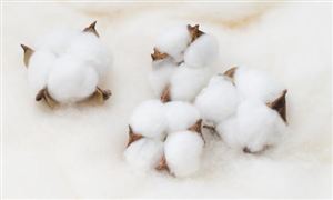 石油化工产业市场前景预测2024(图5)