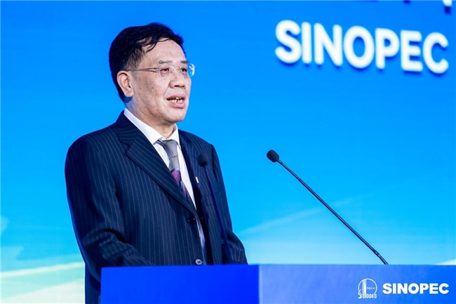 2024中国石化润滑油全球合作伙伴大会圆满落幕共创润滑新时代(图2)