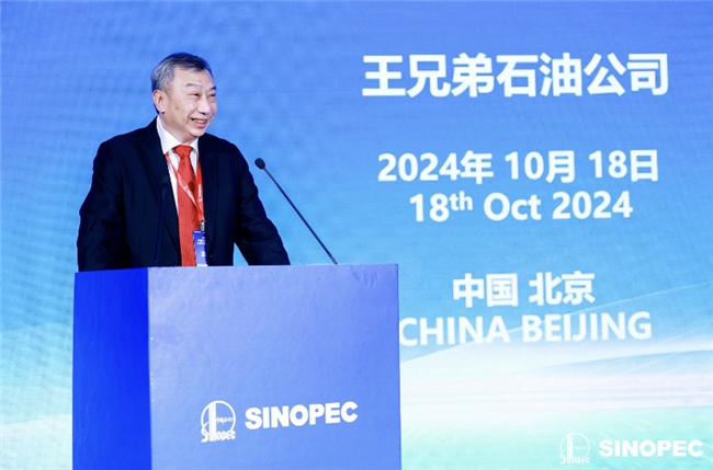 2024中国石化润滑油全球合作伙伴大会圆满落幕共创润滑新时代(图9)